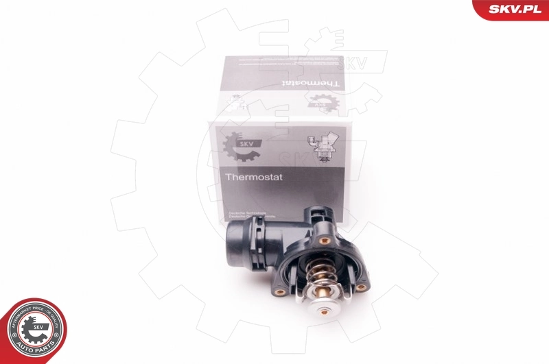 Thermostat, coolant